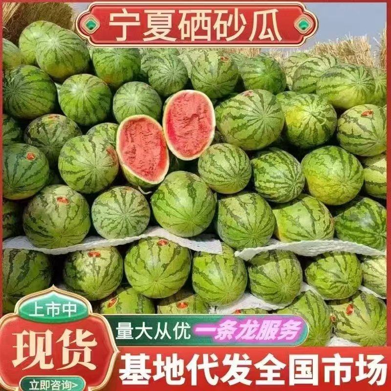 宁夏硒砂瓜基地代发一手货源面向全国量大从优