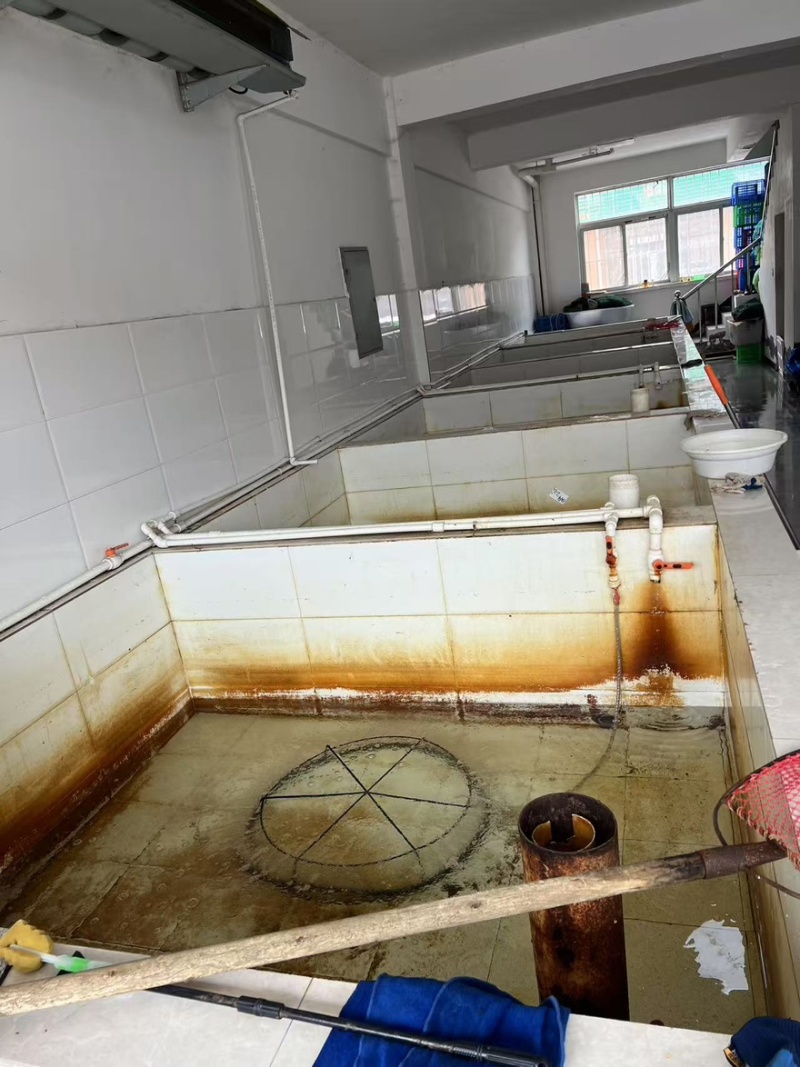 六月黄螃蟹价格实惠产地直销价格实惠全国通发