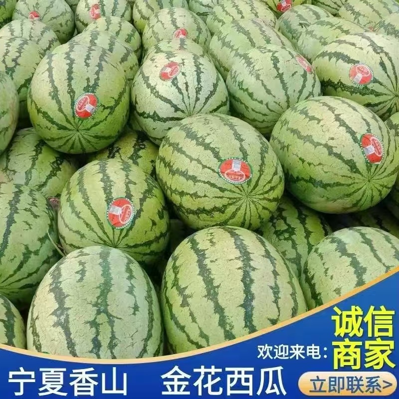 宁夏硒砂瓜基地代发一手货源面向全国量大从优