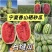宁夏硒砂瓜基地代发一手货源面向全国量大从优