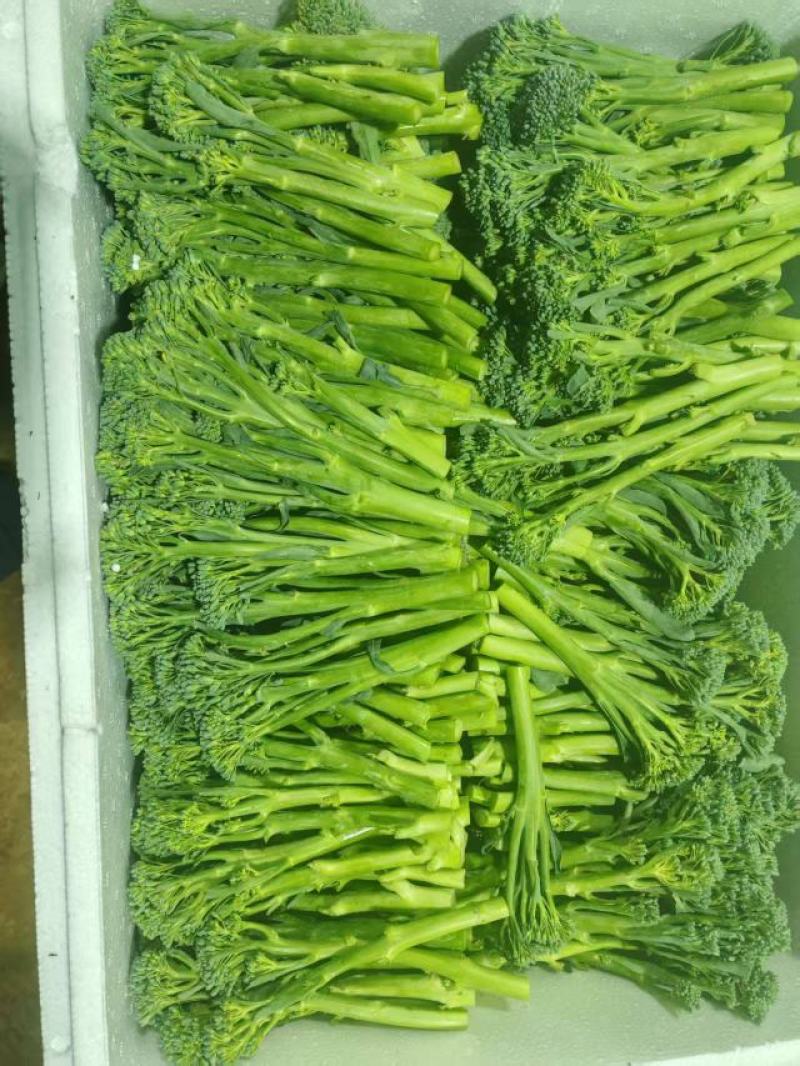 澳洲甜杆西兰苔