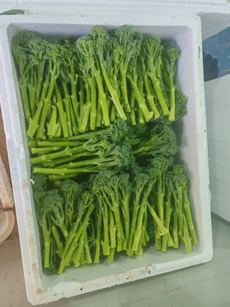 澳洲甜杆西兰苔