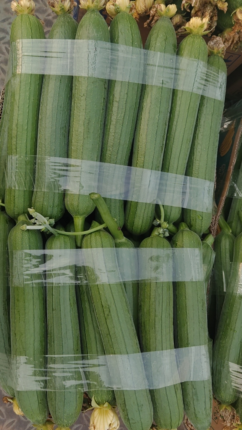 丝瓜