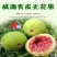 全年无花果，威海，云南，版纳，四川，基地直发，坏果包陪