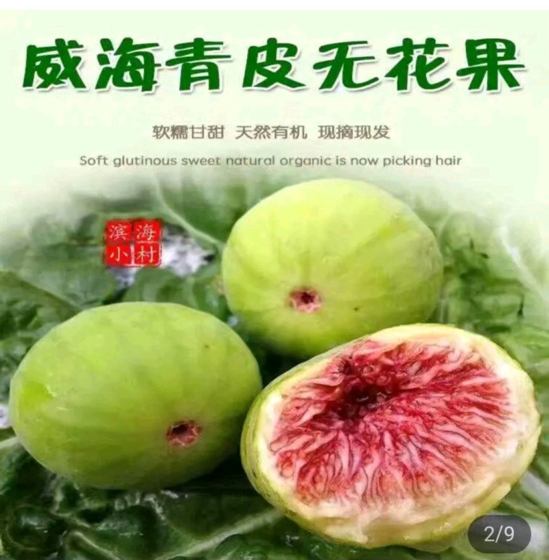 全年无花果，威海，云南，版纳，四川，基地直发，坏果包陪
