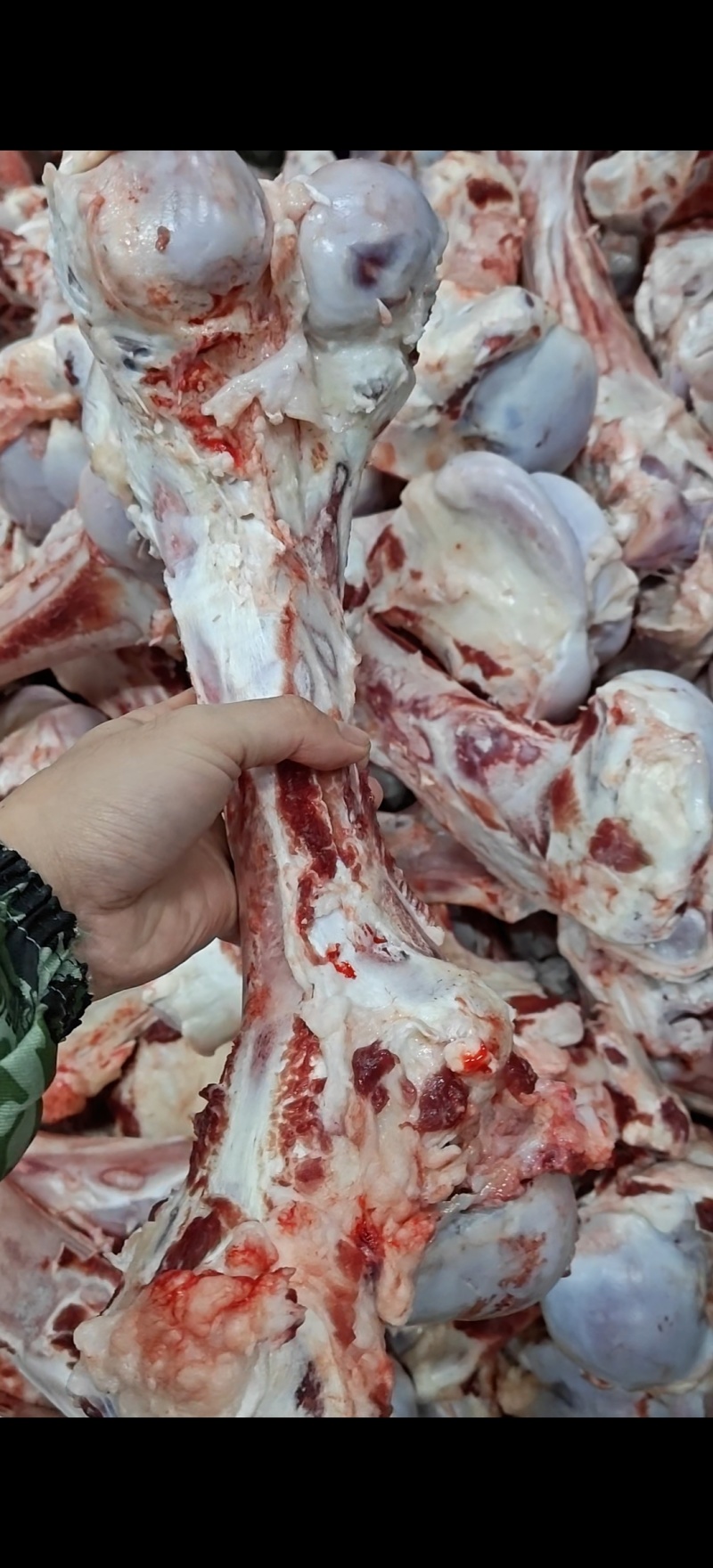 牛棒骨牛筒骨带骨髓新鲜国产