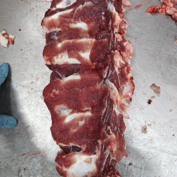 牛小排篦子骨牛排骨多肉国产
