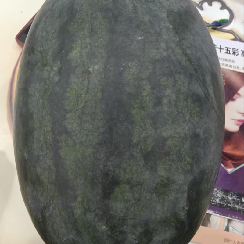 黑美人西瓜大量上市欢迎各位老板来电选购诚信经营