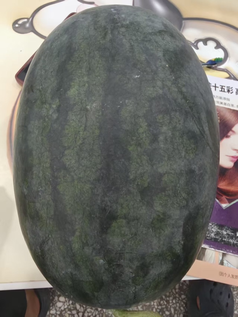 黑美人西瓜大量上市欢迎各位老板来电选购诚信经营