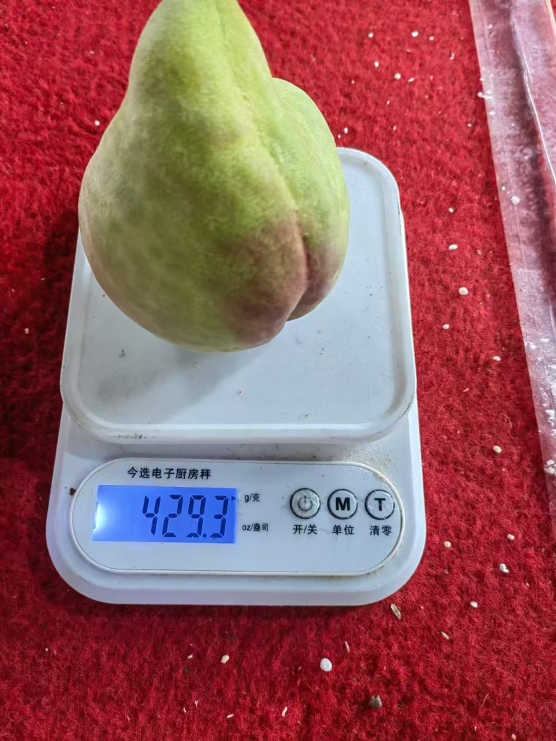 【实力优选】云南鹰嘴桃/蒙自鹰嘴桃/鹰嘴蜜桃/量大价美