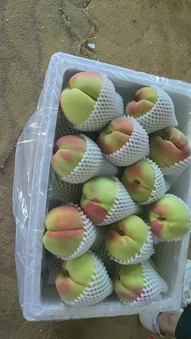 【实力优选】云南鹰嘴桃/蒙自鹰嘴桃/鹰嘴蜜桃/量大价美
