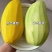 田东芒果