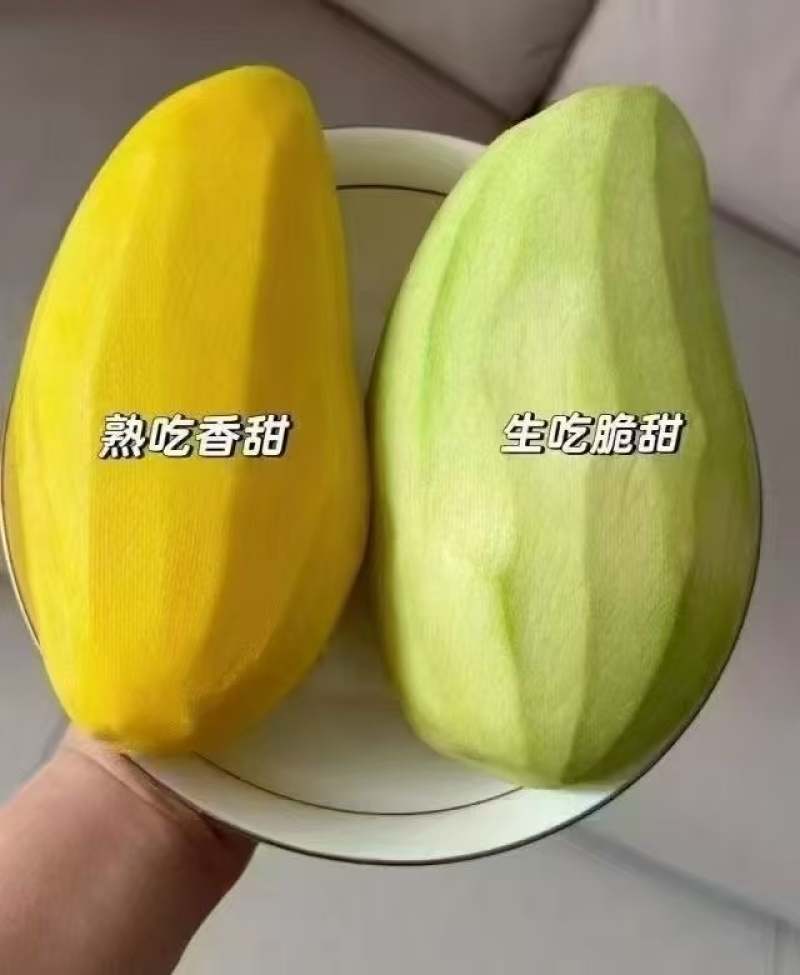 田东芒果