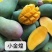 田东芒果