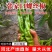 螺丝椒大量供应中对接市场档口商超一条龙服务欢迎老板来电!