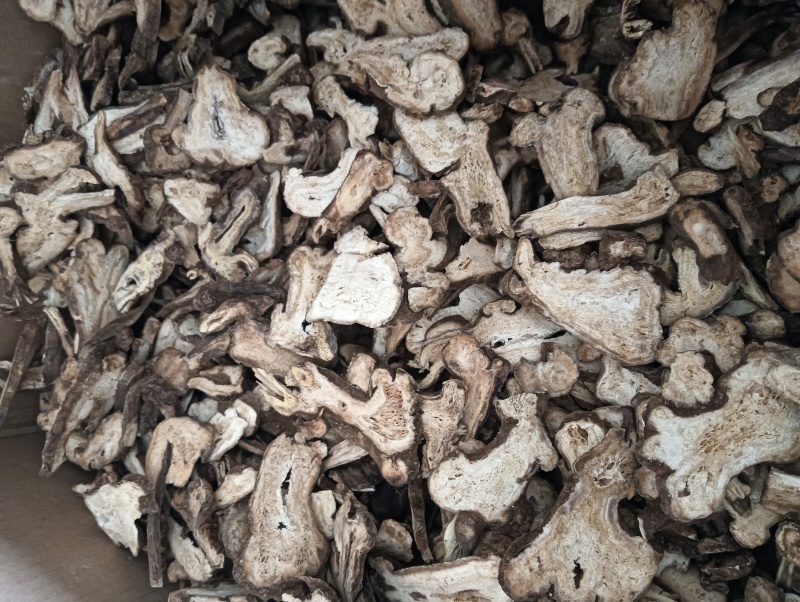 白术现货供应多个规格任选批发各种中药材欢迎选购