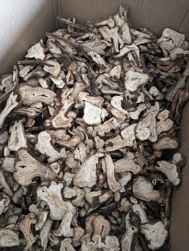 白术现货供应多个规格任选批发各种中药材欢迎选购