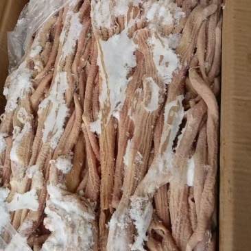 牛小肠