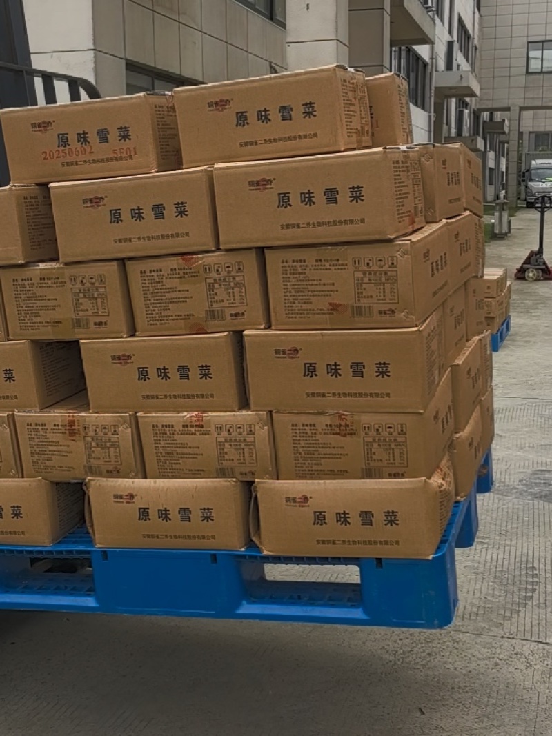 【腌芥菜】雪菜，味美价廉，厂家直销。