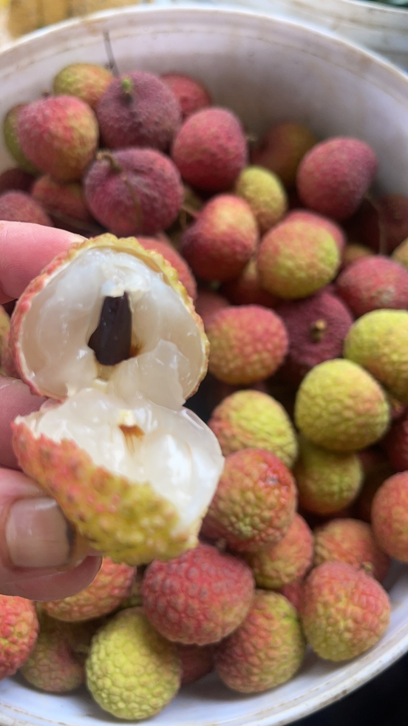 灵山糯米糍，大量上市，烤干果