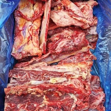 多肉牛脊骨
