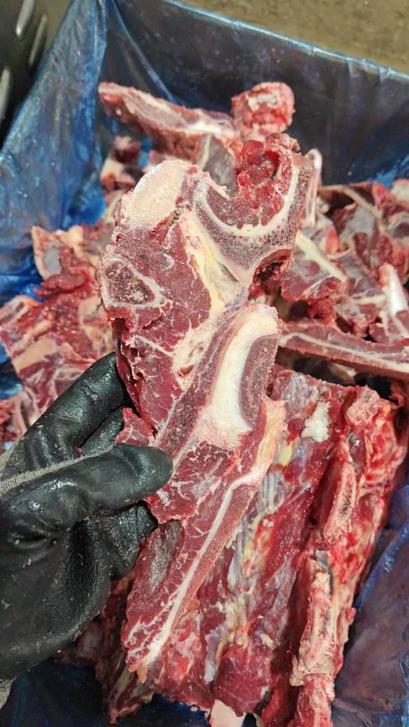 多肉牛脊骨