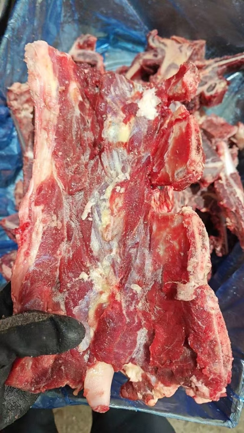多肉牛脊骨