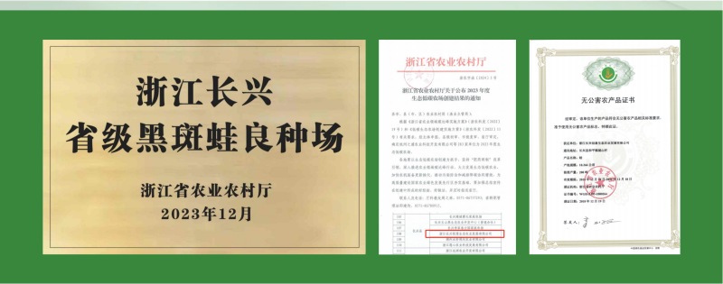 稻田黑斑蛙
