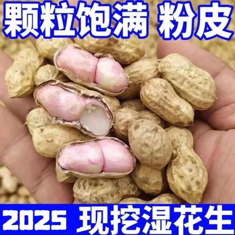 新鲜湿花生可批发可代发一条龙服务量大从优欢迎电话咨询