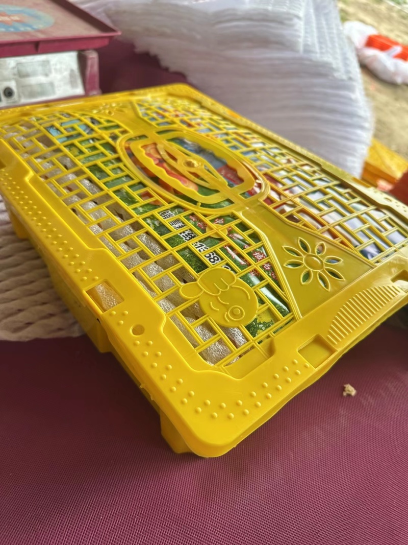 新疆伊犁小红杏