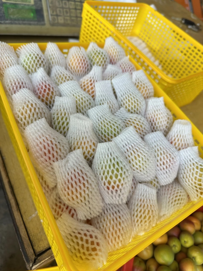 新疆伊犁小红杏