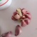 【精选种子】大蒜种子红根蒜苗种子包回收免费提供技术指蒜种