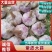 好货推荐2026年新蒜大量供应欢迎全国各地老板来收货