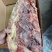 诚信牛商，牛羽骨，满肉，品质，质量，价格。可视频
