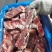 诚信牛商，牛羽骨，满肉，品质，质量，价格。可视频