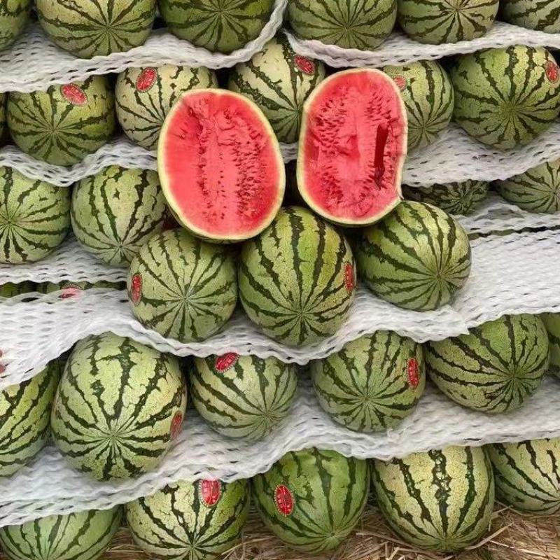 【品质保障】宁夏硒砂瓜产地直供对接全国批发电商商超