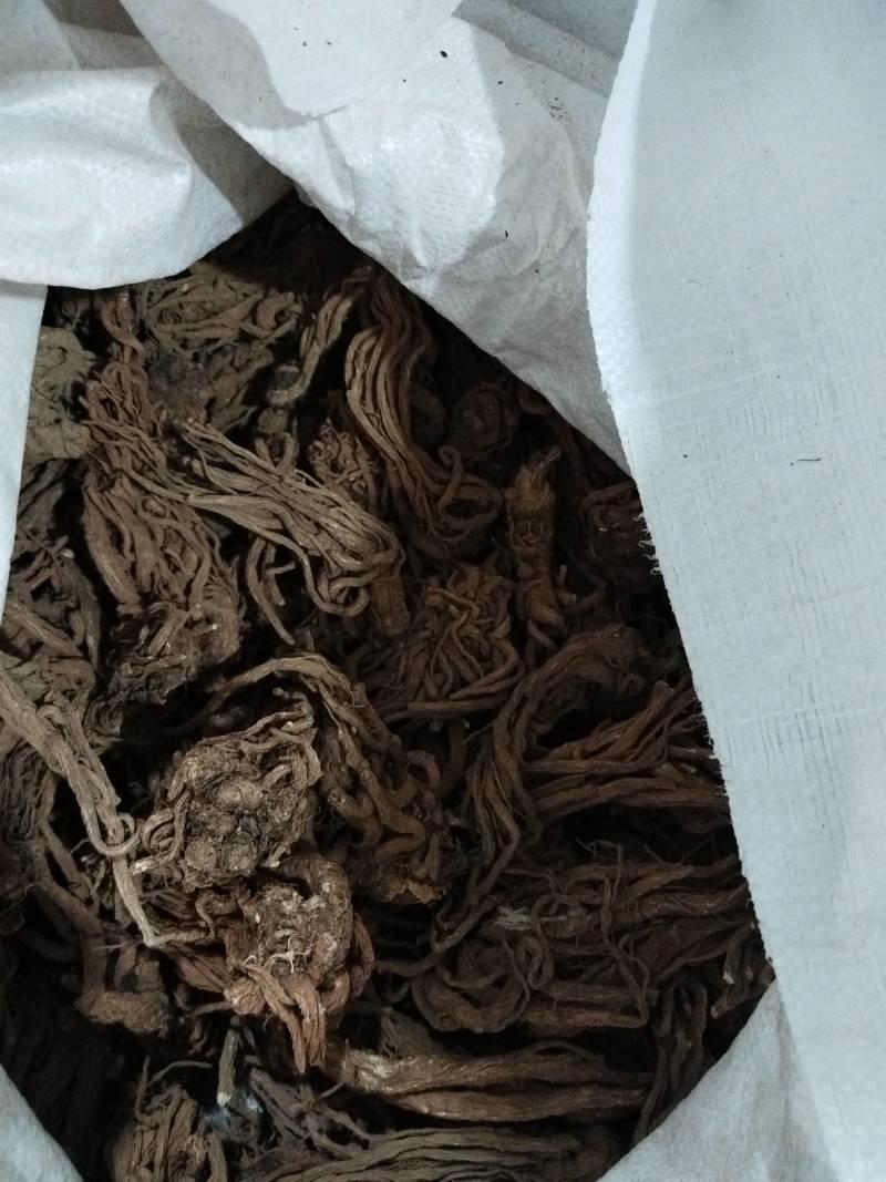 正品当归随叫随到自产自销新鲜直送
