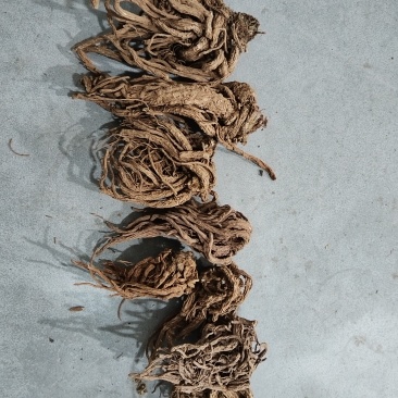 正品当归随叫随到自产自销新鲜直送