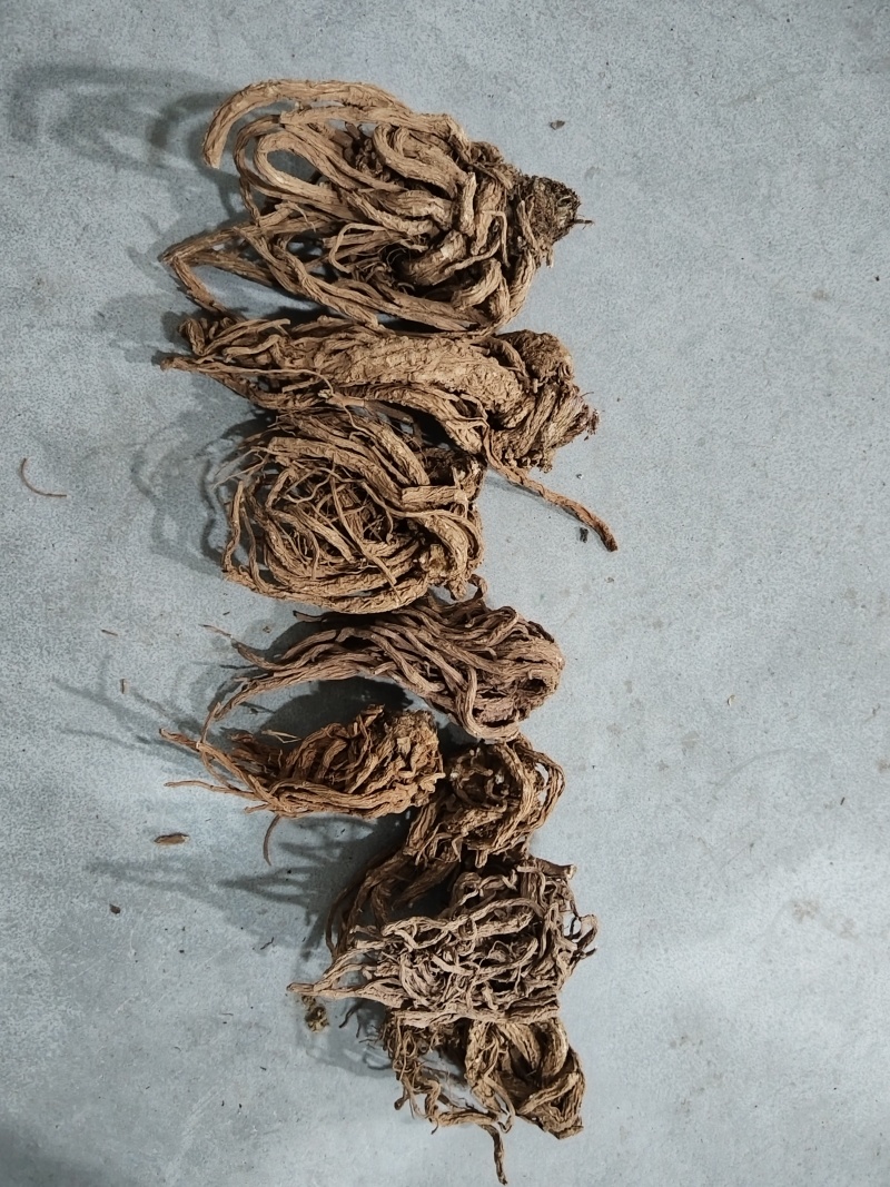 正品当归随叫随到自产自销新鲜直送