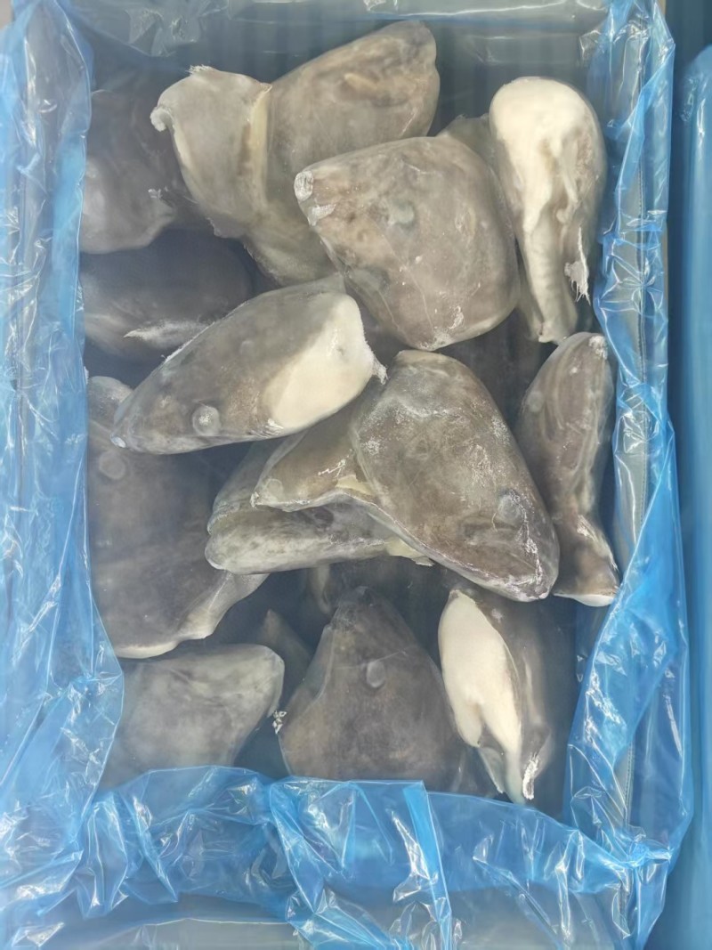 鲽鱼头，大小规格都有，鲽鱼尾，鲽鱼身