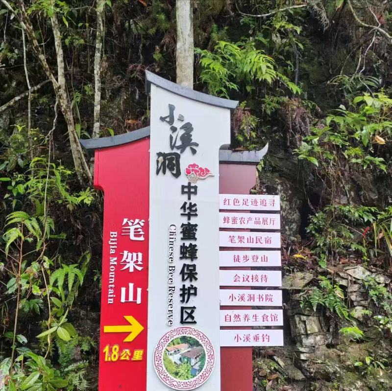 精品土蜂蜜大量供应，品质保证，量大从优，可视频看货，诚信经营