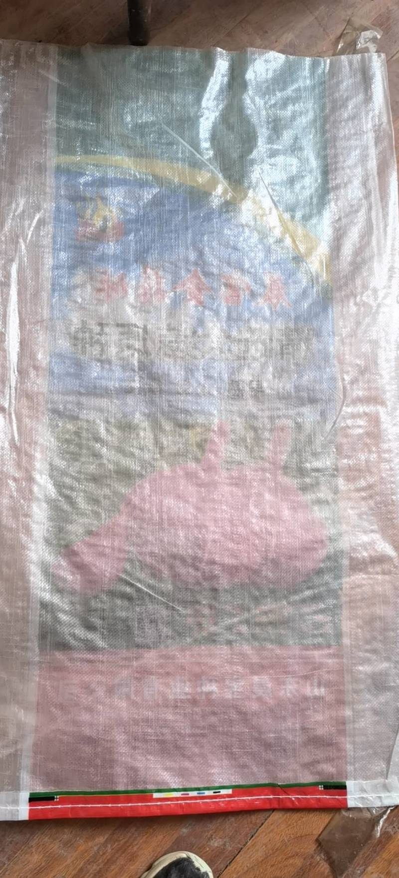 太空蒜种，金蒜球大蒜种子，大青稞蒜种，种类齐全