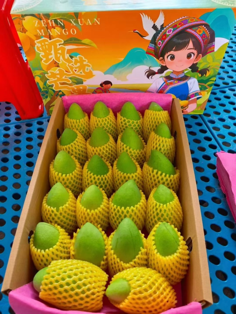 广西百色芒果