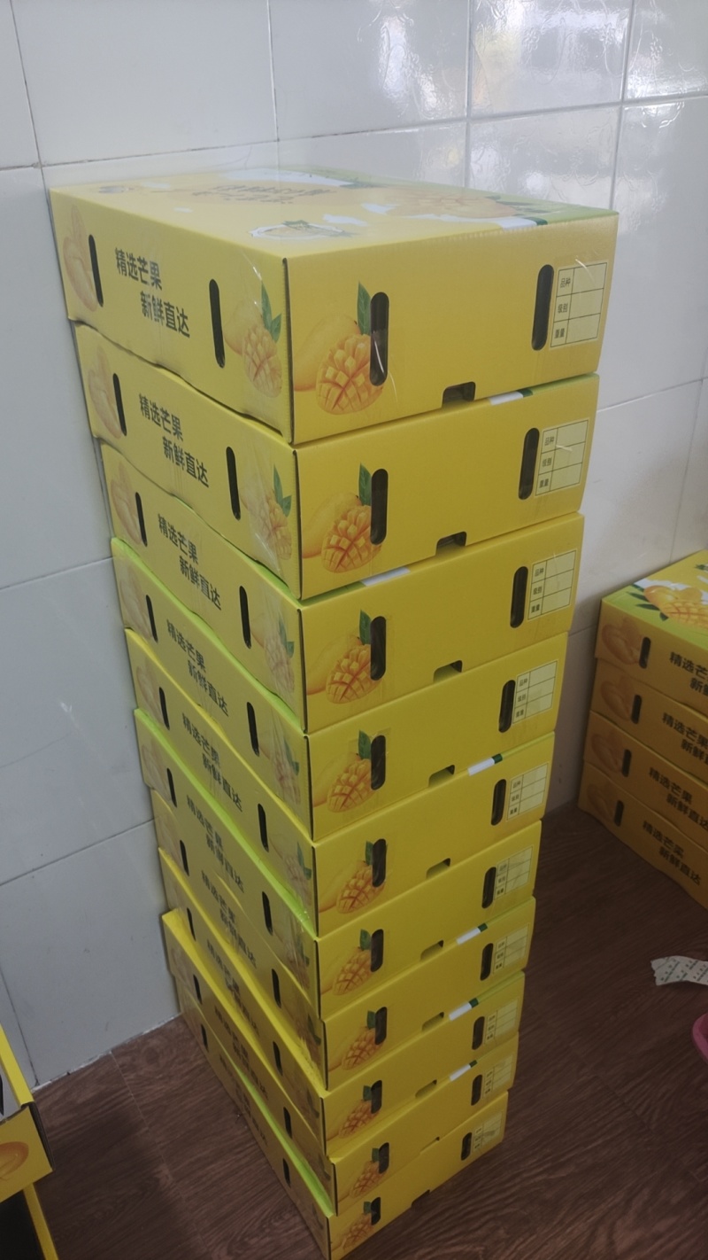 广西百色芒果