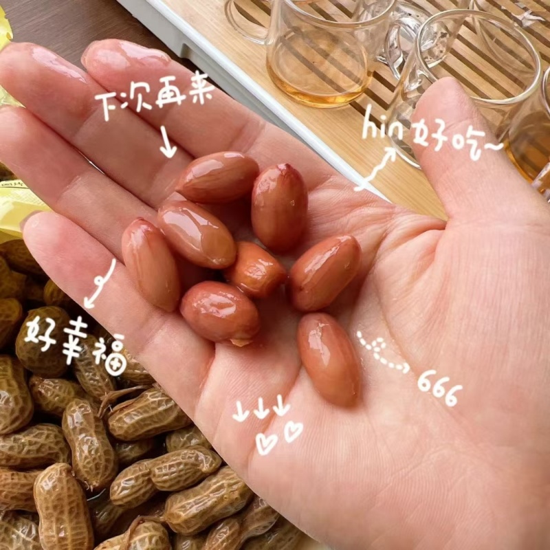 卤花生水煮花生量大，厂家直销