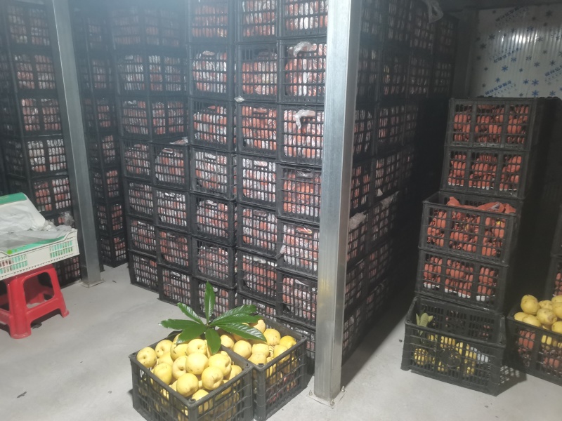 精品雪花梨货源充足量大从优质量保证欢迎咨询