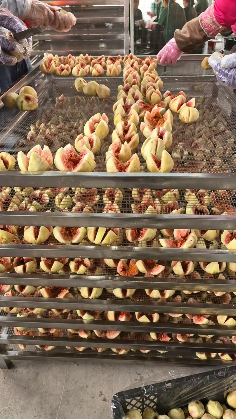 精品无花果干大量有货基地直供可视频看货