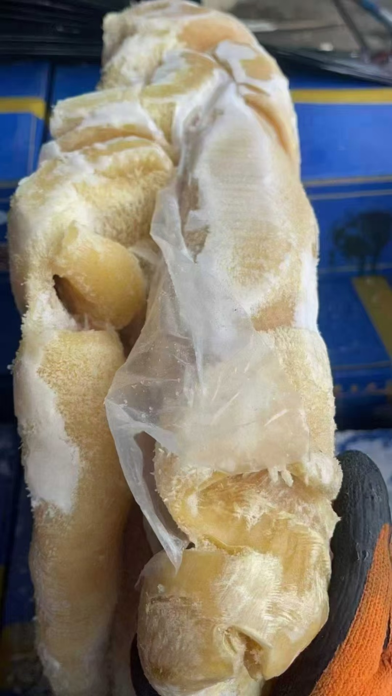 水煮牛肚