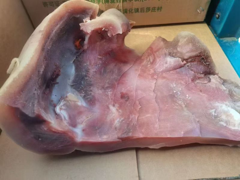 牛头皮，刀削大公牛厚牛头皮，水煮全熟，质量好，价格低。