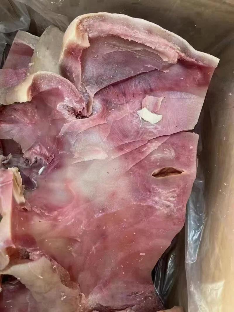 牛头皮，刀削大公牛厚牛头皮，水煮全熟，质量好，价格低。